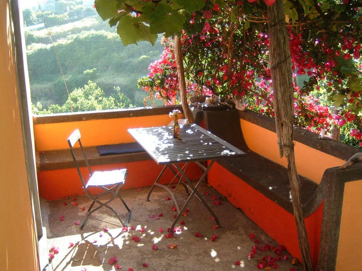 Madeira-Meerblick-Haus Estreito Da Calheta Eksteriør bilde