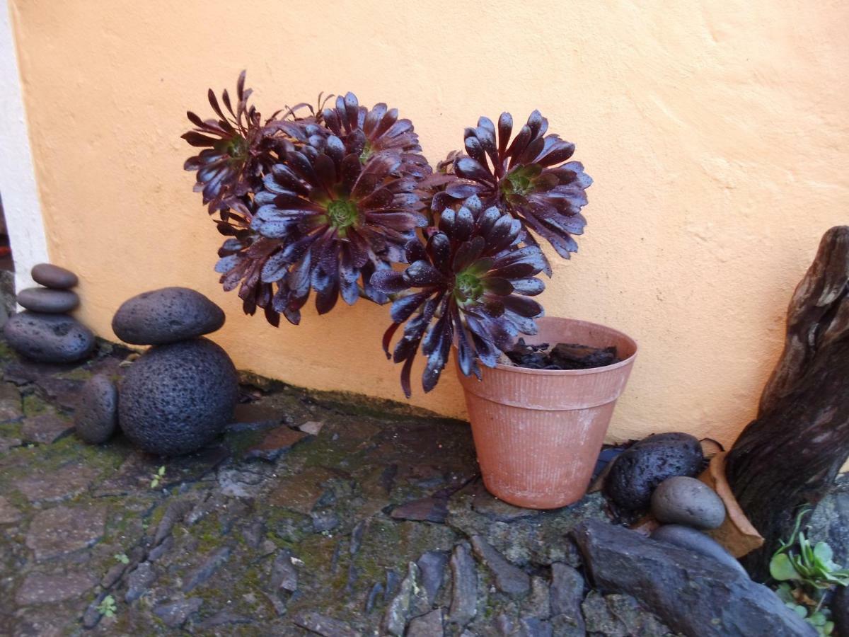 Madeira-Meerblick-Haus Estreito Da Calheta Eksteriør bilde