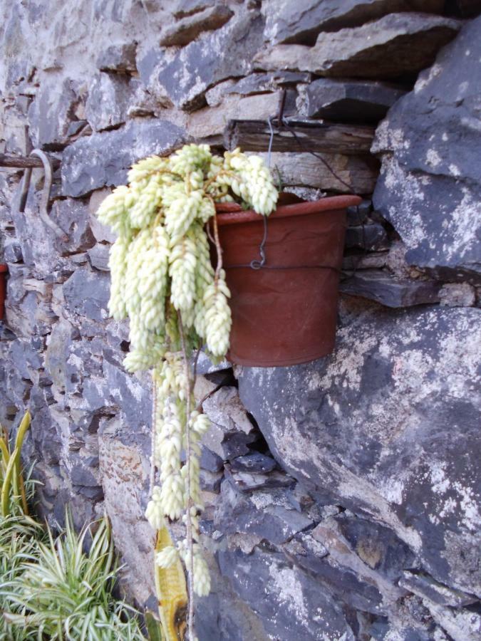 Madeira-Meerblick-Haus Estreito Da Calheta Eksteriør bilde